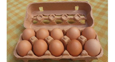 دست درازی به جیب مردم به بهانه بسته‌بندی/ بسته‌بندی تخم‌مرغ به نفع فروشگاه‌هاست نه مردم