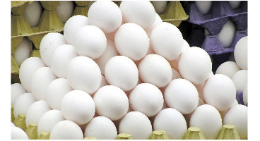 قیمت جدید تخم مرغ اعلام شد / تصمیم گیری درباره قیمت نان 