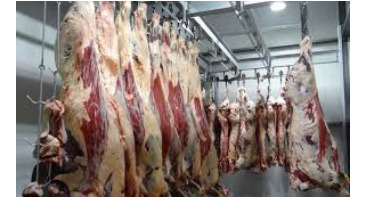 عرضه کنندگان گوشت از پرداخت مالیات معاف شدند