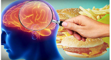 این غذاها مغزتان را کوچک می‌کنند!