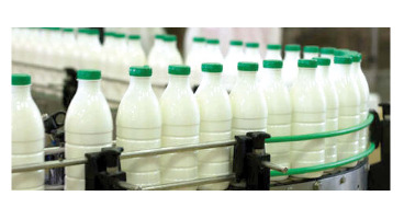 جنجال بر سر سلامت "شیر"/ مسئولان بهداشتی تضمین دادند