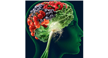 برای سلامت مغز به چه مواد غذایی احتیاج داریم؟